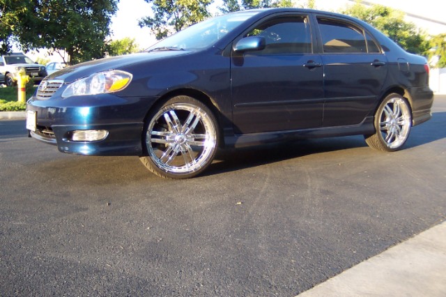 Spider2075 On Corolla